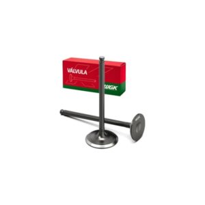 VALVULA DE ESCAPE CG-160 (WGK) 10112021